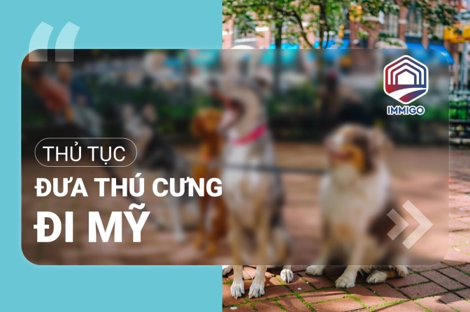 Hướng dẫn thủ tục để dẫn thú cưng qua Mỹ